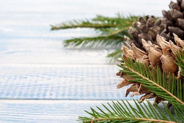 Similar image 21541997