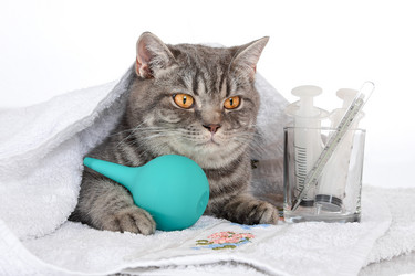 Similar image 21542002