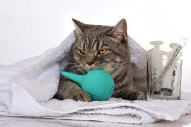 Similar image 21546957