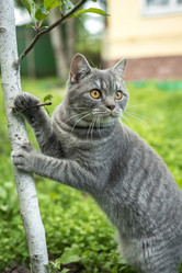 Similar image 21546960