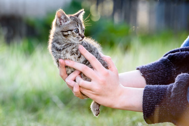 Similar image 21547093