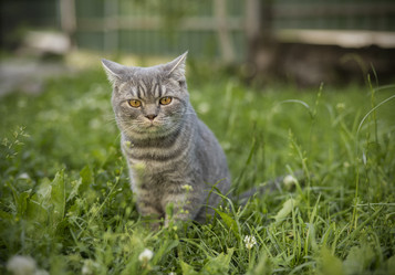 Similar image 21547094