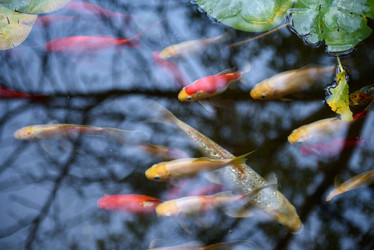 Similar image 21544952