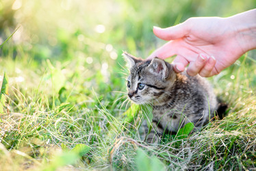 Similar image 21540151