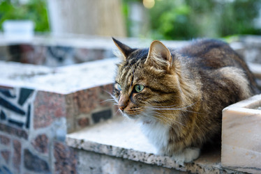 Similar image 21540152