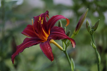 Similar image 21540524