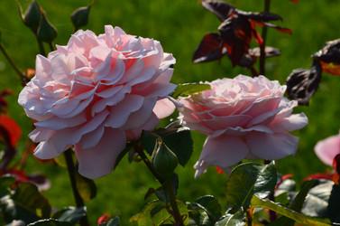 Similar image 21540532