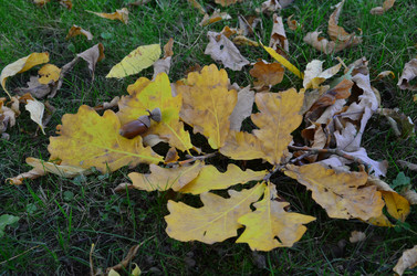 Similar image 21540535