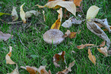 Similar image 21540536