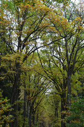 Similar image 21540541