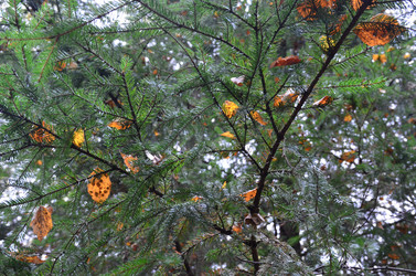 Similar image 21540542