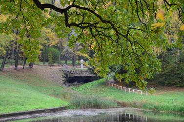 Similar image 21540545