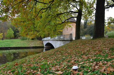 Similar image 21540546