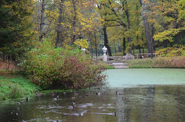 Similar image 21540547