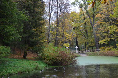 Similar image 21542554