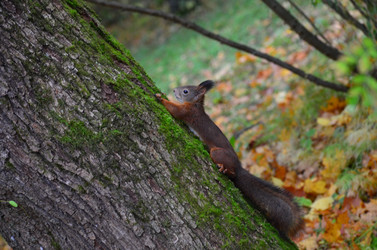 Similar image 21540554