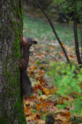 Similar image 21540555