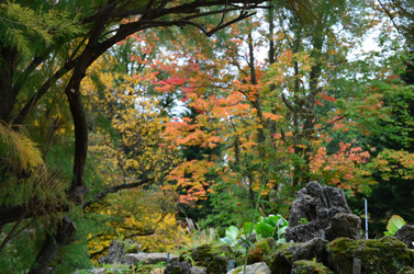 Similar image 21542557