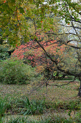 Similar image 21542558