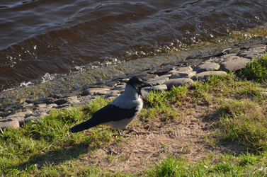 Similar image 21540563