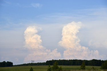 Similar image 21539427