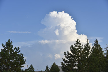 Similar image 21539429