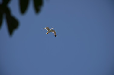 Similar image 21540564