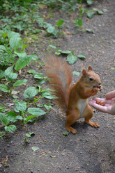 Similar image 21540567