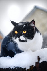 Similar image 21541270