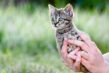 Similar image 21541271