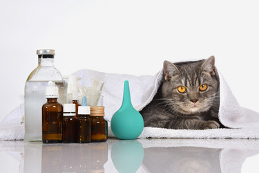 Similar image 21541272