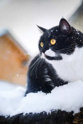 Similar image 21541273