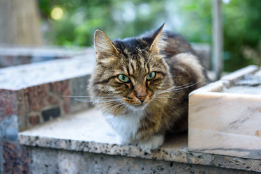 Similar image 21541275