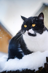 Similar image 21545619