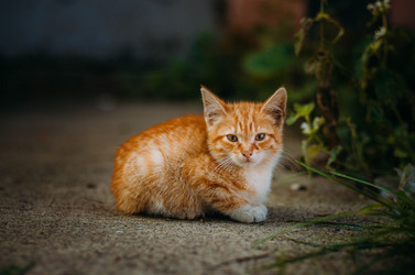 Similar image 21541277