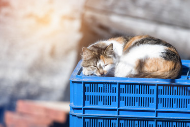 Similar image 21545620