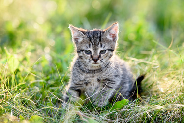 Similar image 21541279