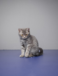 Similar image 21545621