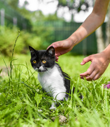 Similar image 21545622