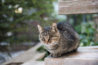 Similar image 21541281