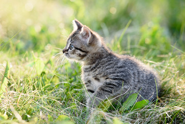 Similar image 21541282