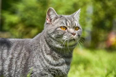 Similar image 21545624