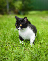 Similar image 21545625