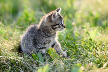 Similar image 21541283