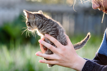 Similar image 21541284