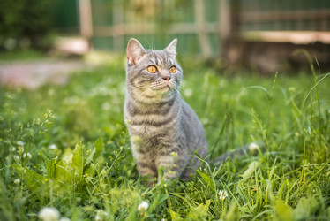 Similar image 21545629