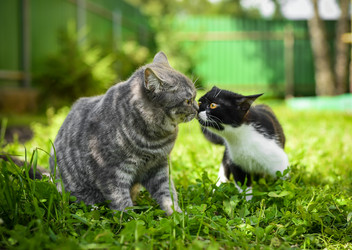 Similar image 21545630