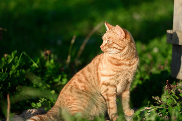 Similar image 21541697