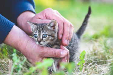 Similar image 21541699