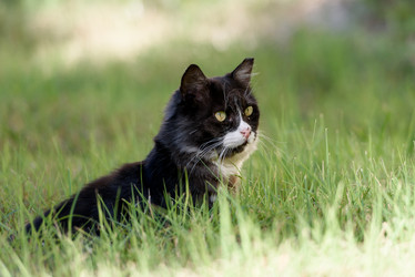 Similar image 21542015